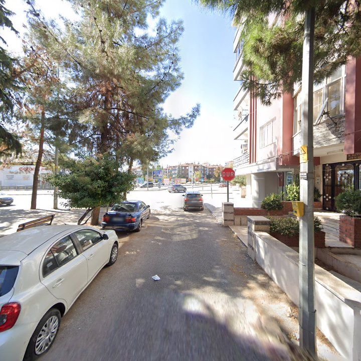 Fotoğraf 10