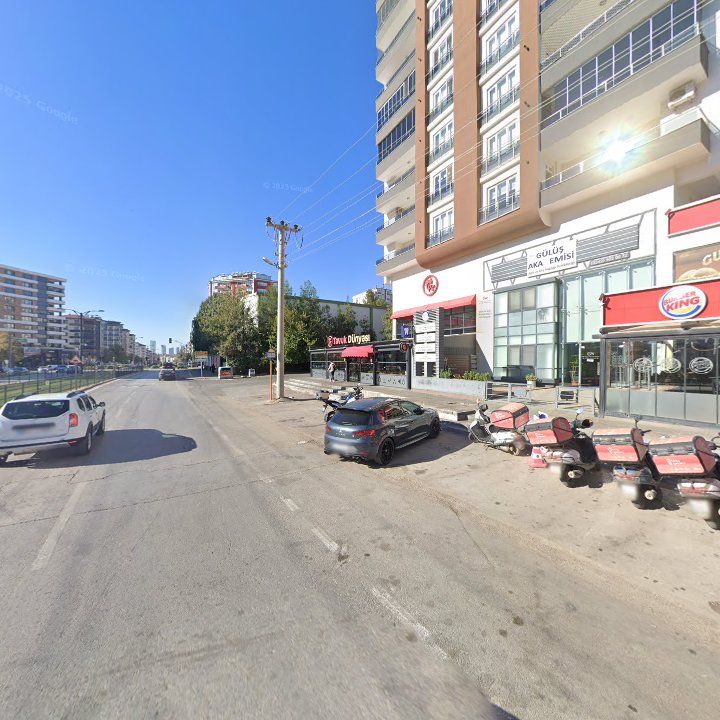 Fotoğraf 9