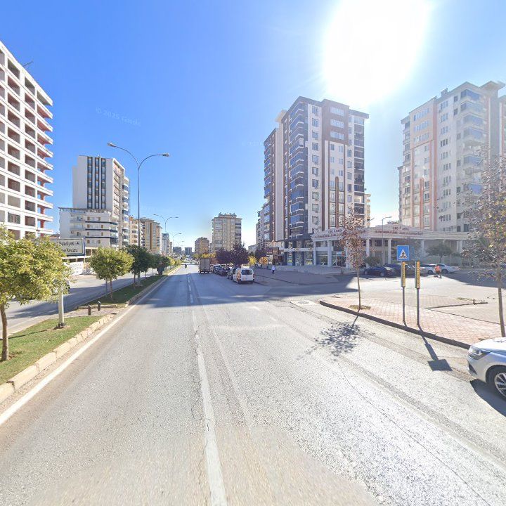 Fotoğraf 11