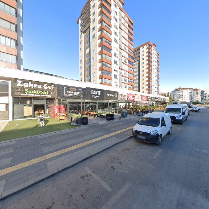 Fotoğraf 10