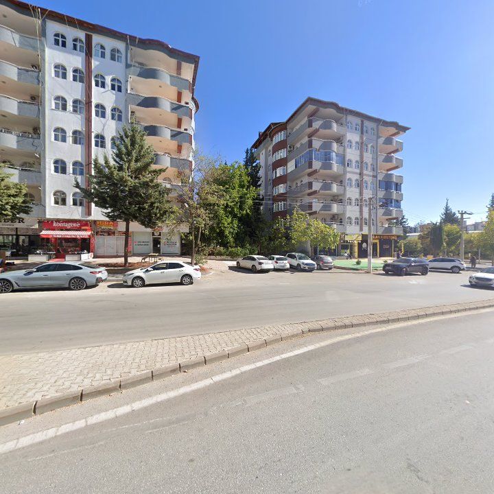 Fotoğraf 8