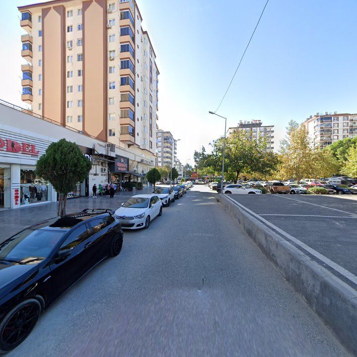 Fotoğraf 7