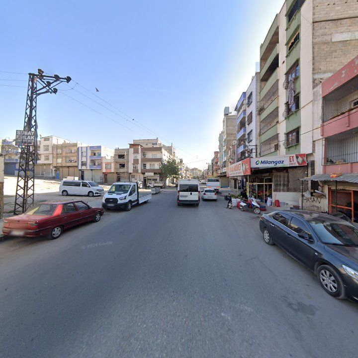 Fotoğraf 4