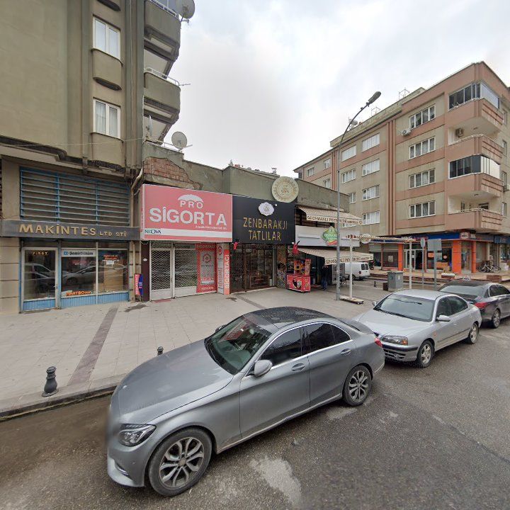 Fotoğraf 14