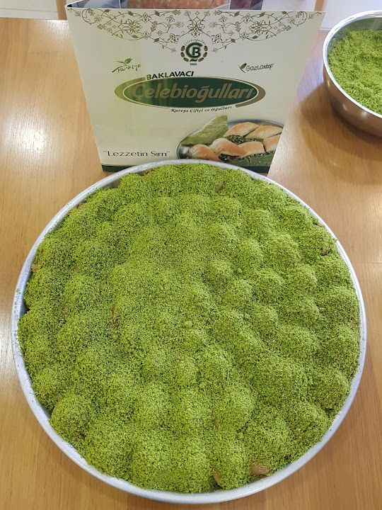 Fotoğraf 11