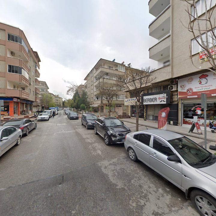 Fotoğraf 15