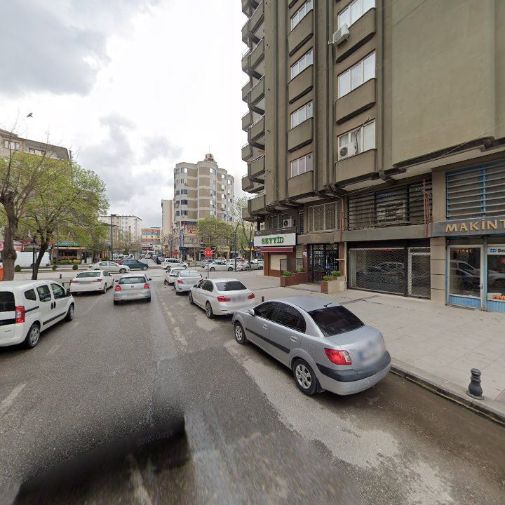 Fotoğraf 13