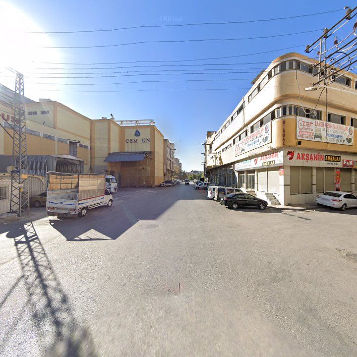 Fotoğraf 8
