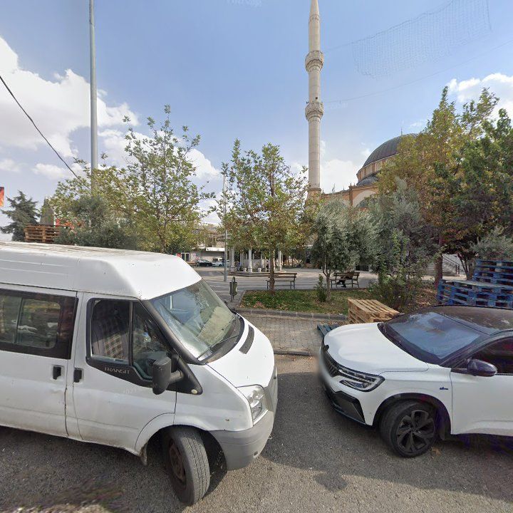 Fotoğraf 7