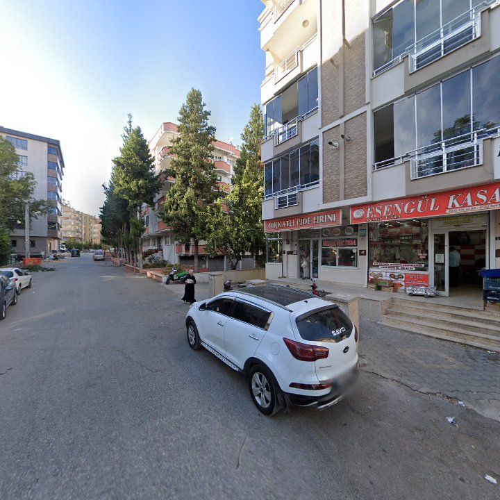 Fotoğraf 7