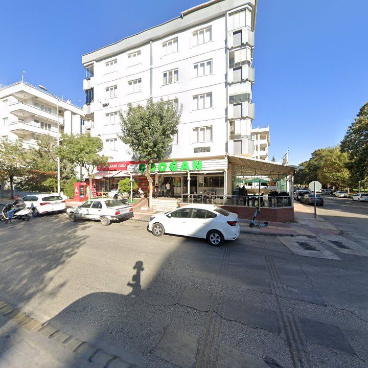 Fotoğraf 8