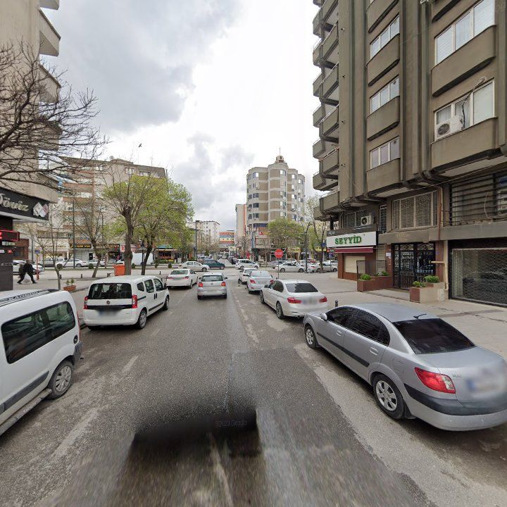 Fotoğraf 8
