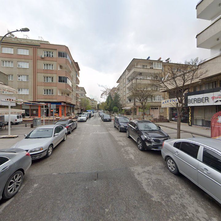 Fotoğraf 10