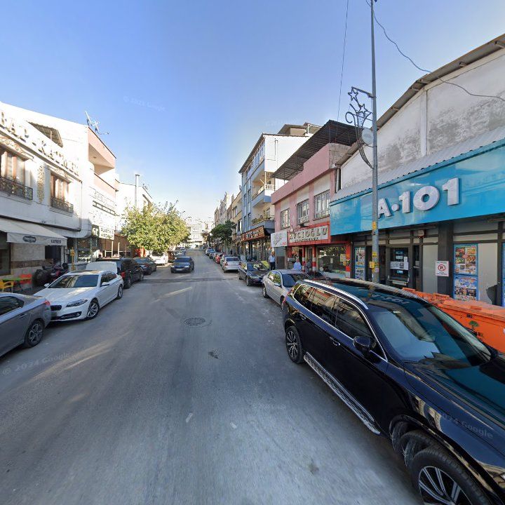 Fotoğraf 13