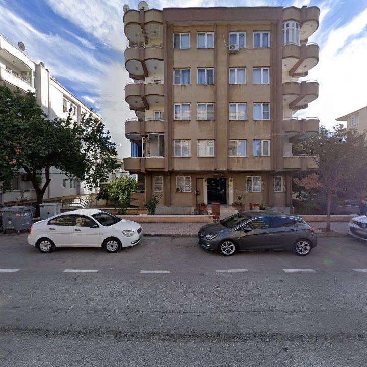 Fotoğraf 10
