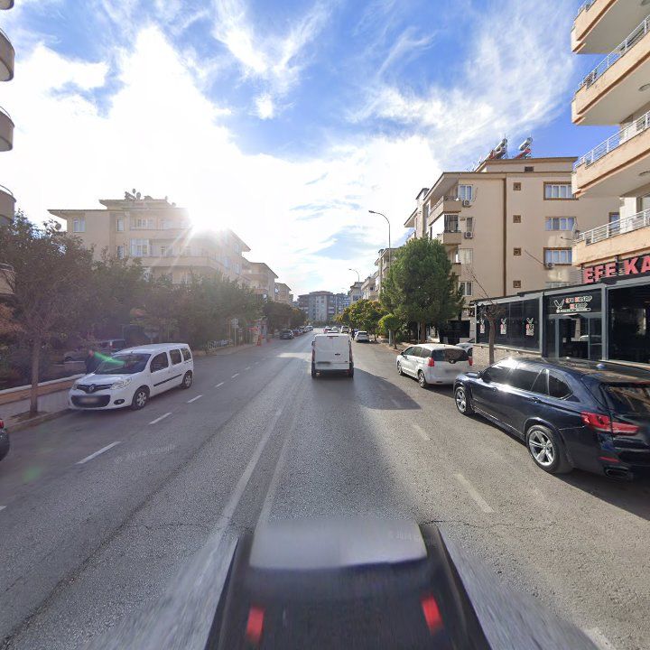 Fotoğraf 11