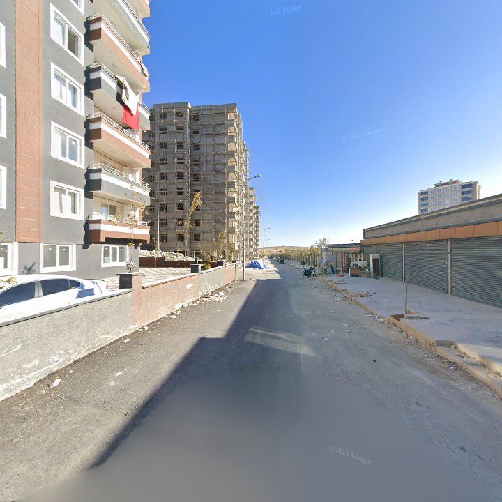 Fotoğraf 11