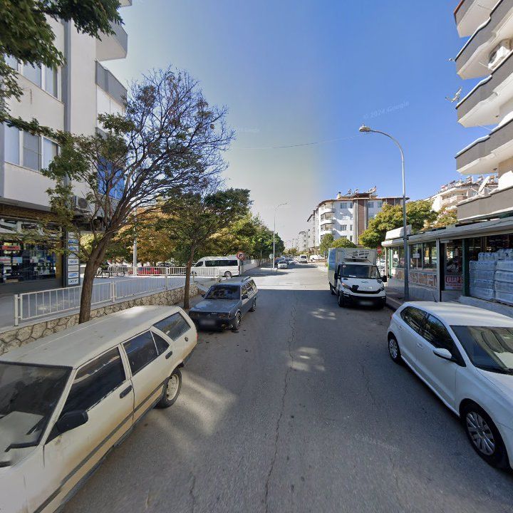 Fotoğraf 6