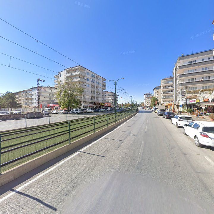 Fotoğraf 10