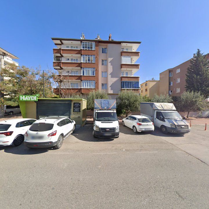 Fotoğraf 11