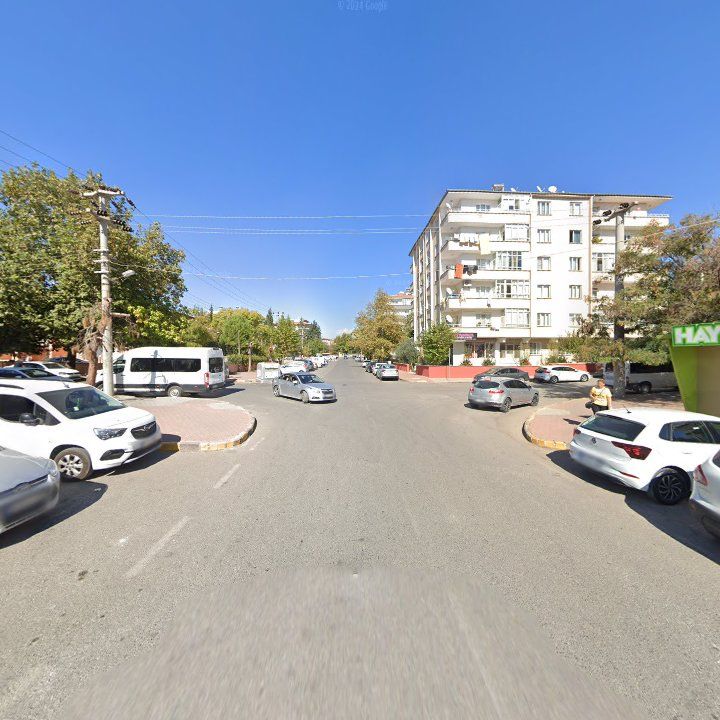 Fotoğraf 10