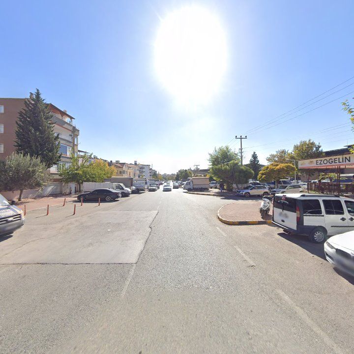 Fotoğraf 12