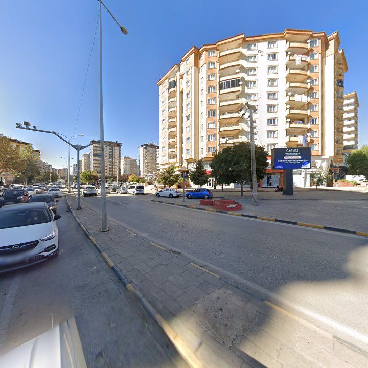Fotoğraf 12
