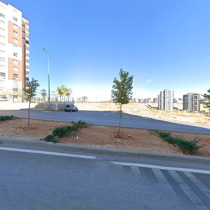 Fotoğraf 10