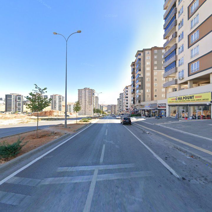 Fotoğraf 11