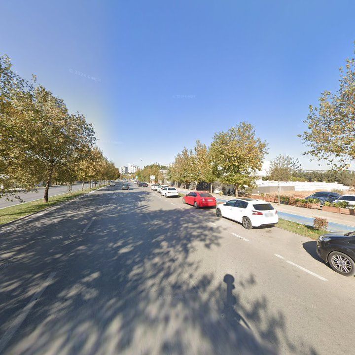 Fotoğraf 14
