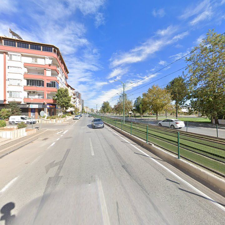 Fotoğraf 10