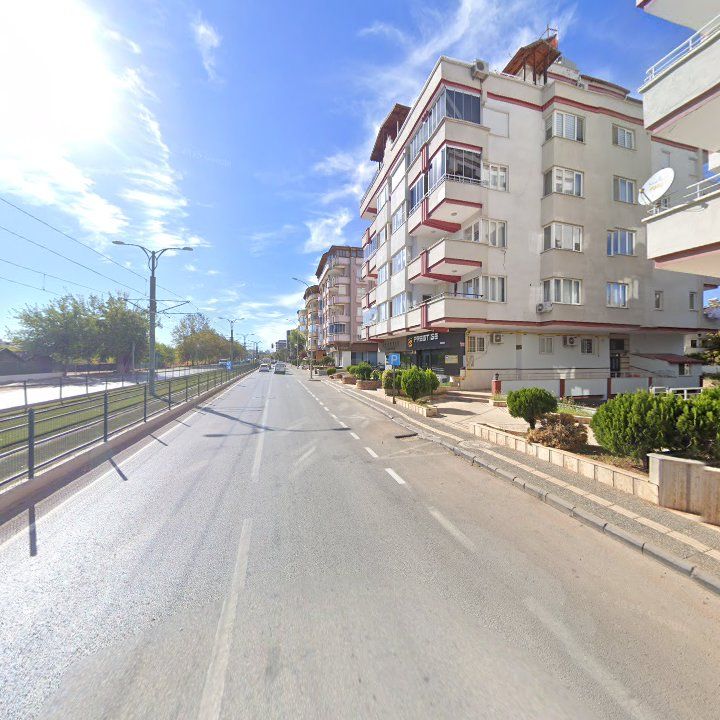 Fotoğraf 12