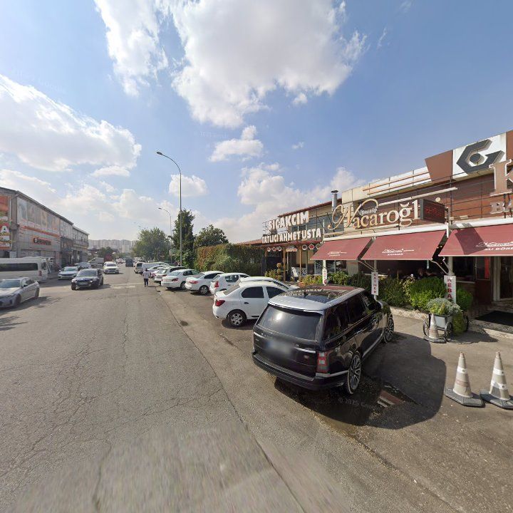 Fotoğraf 10