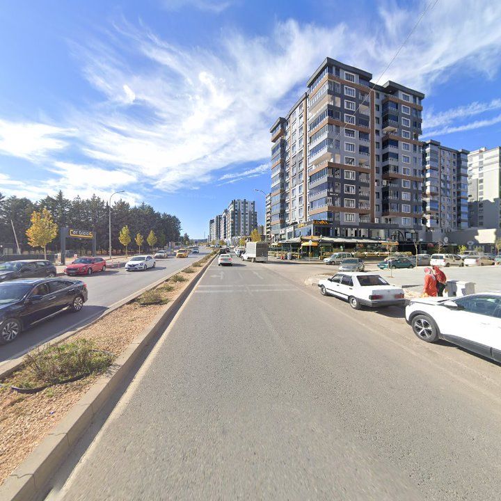 Fotoğraf 9