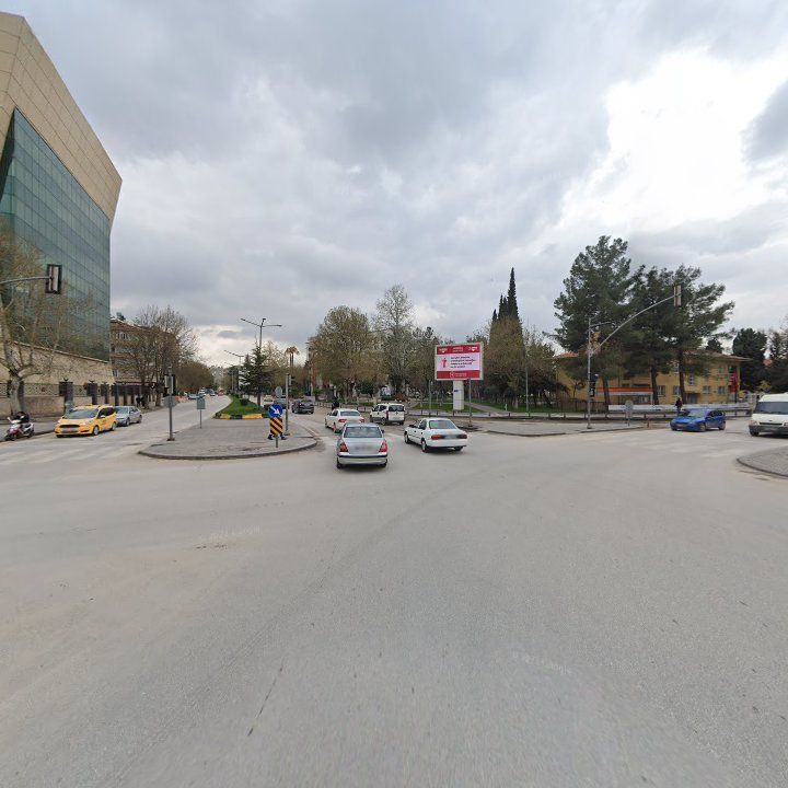 Fotoğraf 8