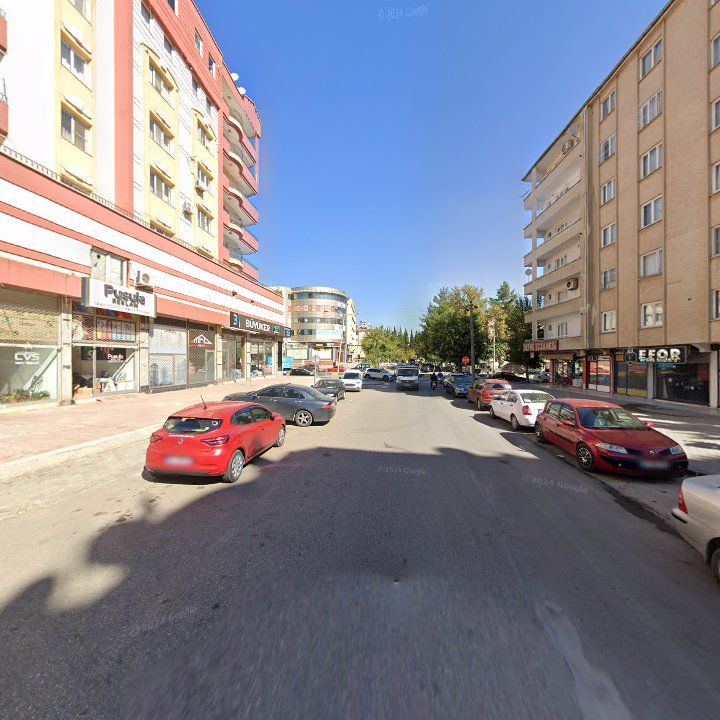 Fotoğraf 7