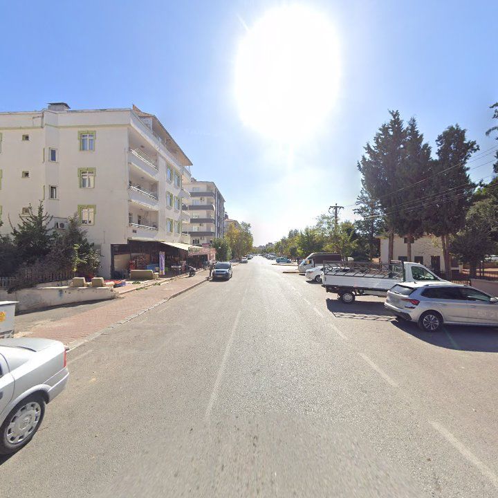 Fotoğraf 7