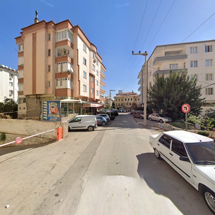 Fotoğraf 7