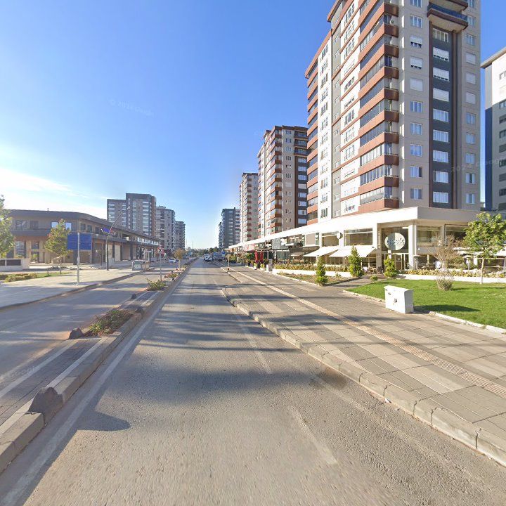 Fotoğraf 11