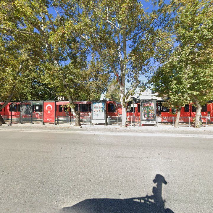 Fotoğraf 8
