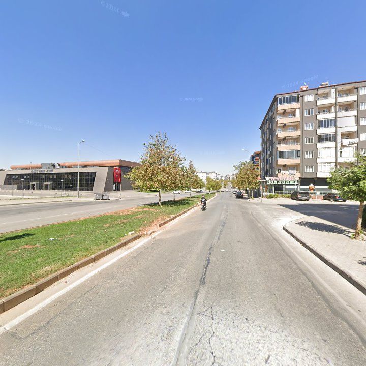 Fotoğraf 8