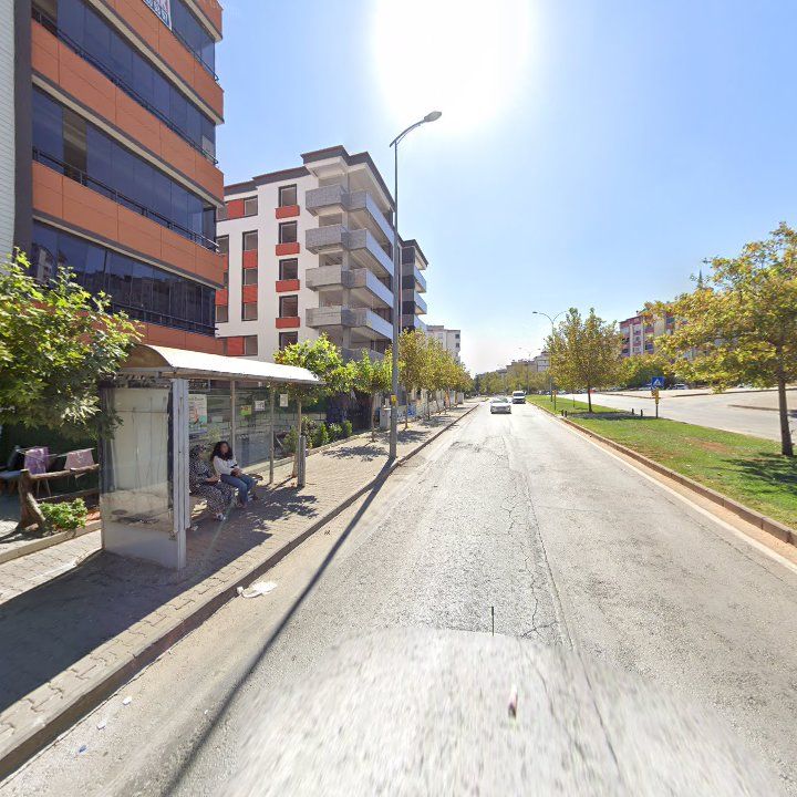 Fotoğraf 6