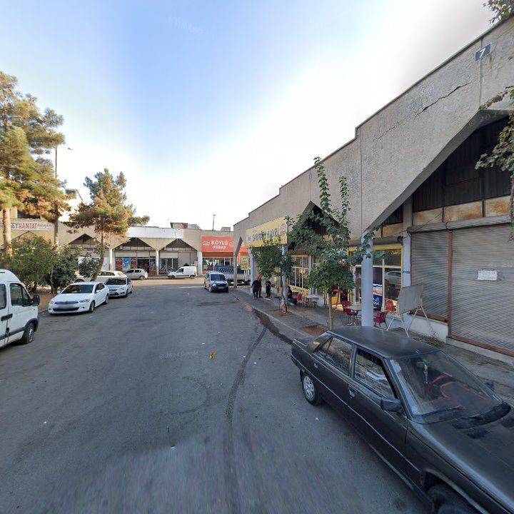 Fotoğraf 9