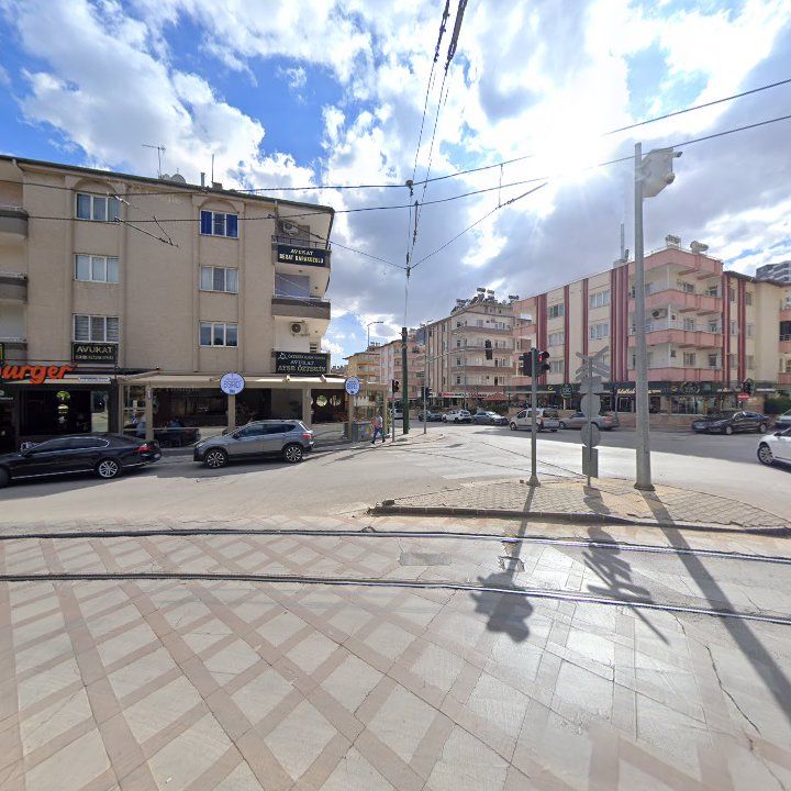 Fotoğraf 9