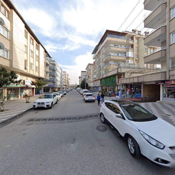 Fotoğraf 15