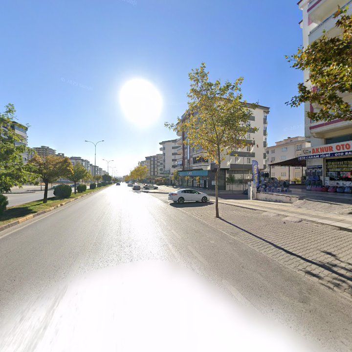 Fotoğraf 10
