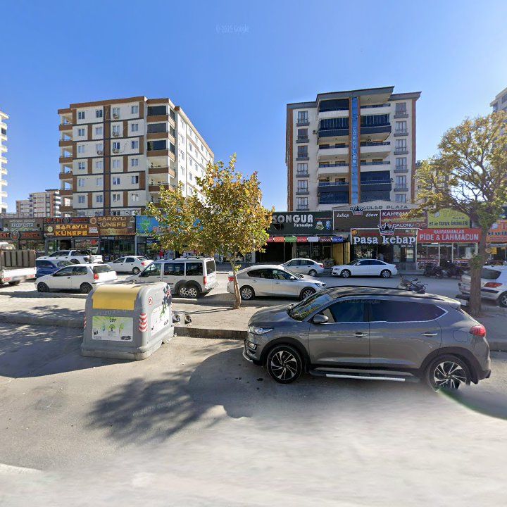 Fotoğraf 6