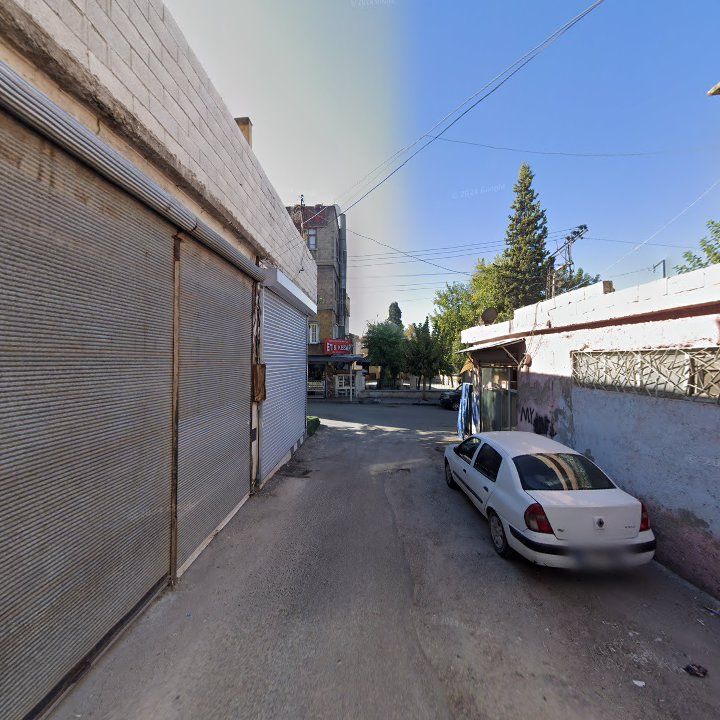 Fotoğraf 11