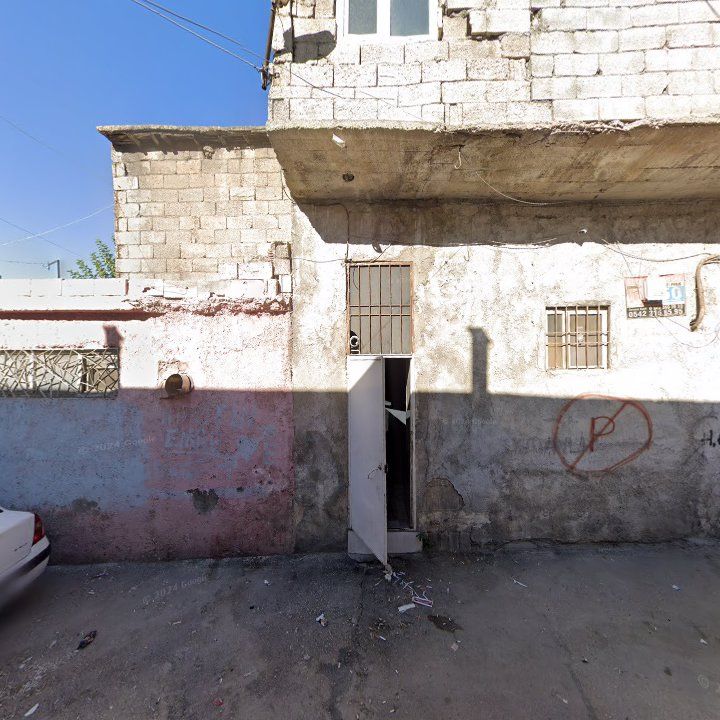 Fotoğraf 12
