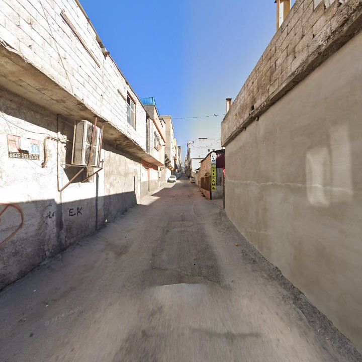 Fotoğraf 13